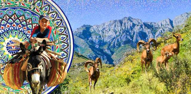 Auténtico Uzbekistán