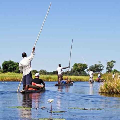 11 dias de safári no Botswana