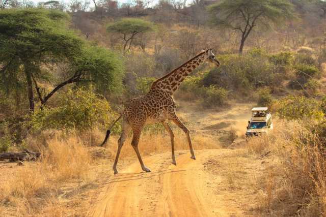 4-Day Kruger Safari & Panorama Route - Private Transfers