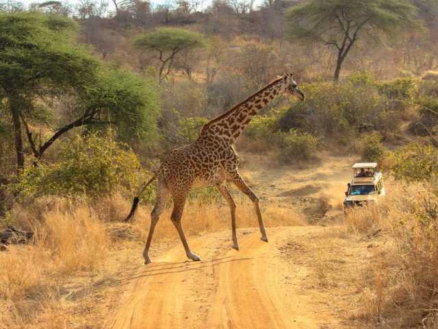 Safari de 4 dias no Kruger & Rota Panorama - Transfers Privados