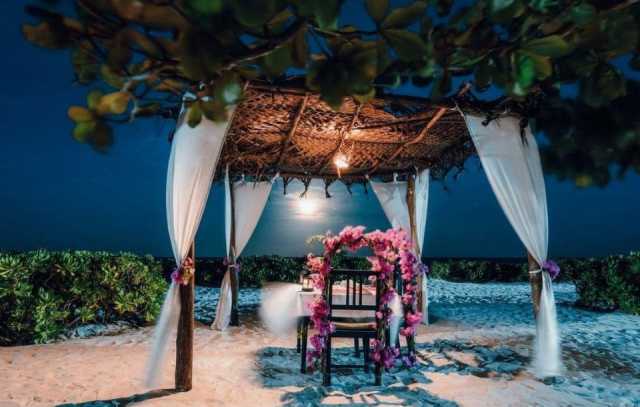 5-Day Luxury Honeymoon Safari Experience