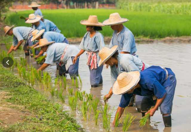 L’Essentiel de la Thaïlande — voyage en groupe