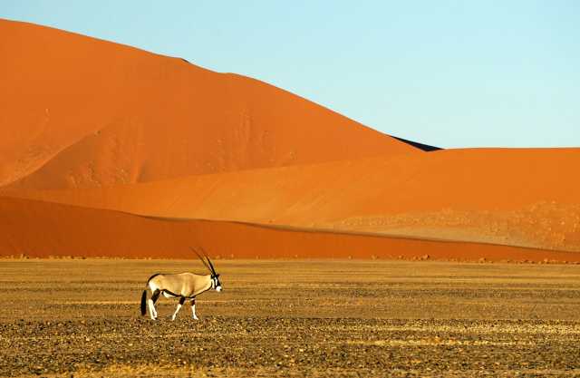 Namibia - 7-Tage-Voyager