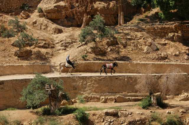 Dahar berbère : un voyage à déguster, un paysage à parcourir