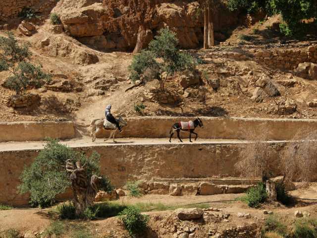 Dahar berbere: uma viagem para saborear, uma paisagem para percorrer