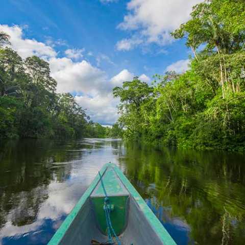 The Ecuadorian classics