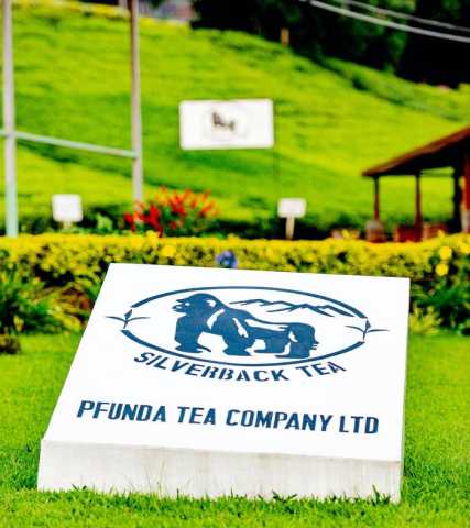 8 giorni sul Sentiero Congo-Nilo