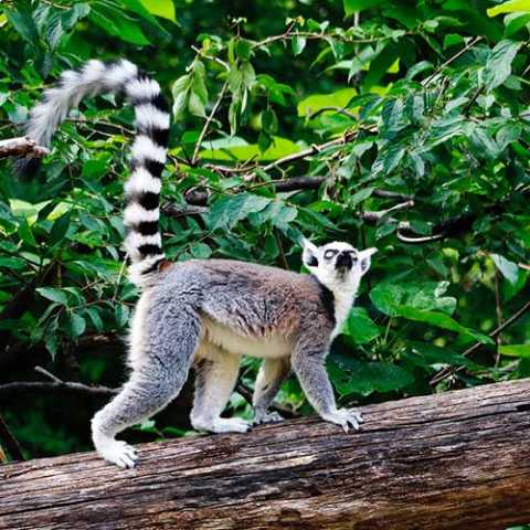 Os segredos da Rota Nacional 7 de Madagascar