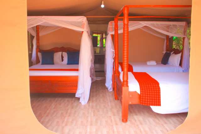 4 Tage / 3 Nächte Maasai Mara & Lake Nakuru Budget-Gruppen-Safari