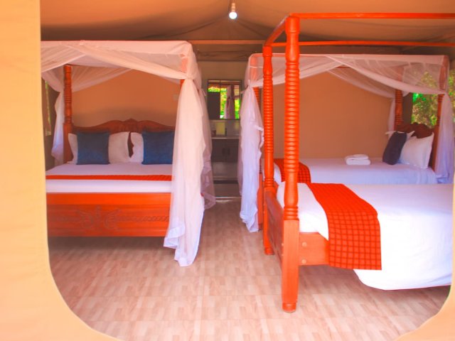 4 Dias / 3 Noites Maasai Mara & Lago Nakuru Safari em Grupo Econômico