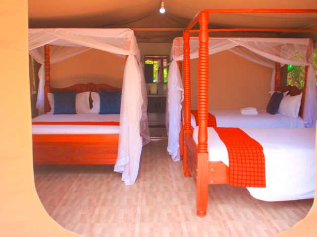 4 Jours / 3 Nuits Safari en Groupe Économique Maasai Mara & Lac Nakuru