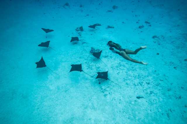 Live like Polynesians