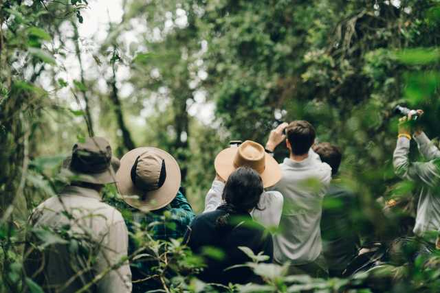 Rwanda e Uganda Trekking con i gorilla e Safari nella fauna selvatica