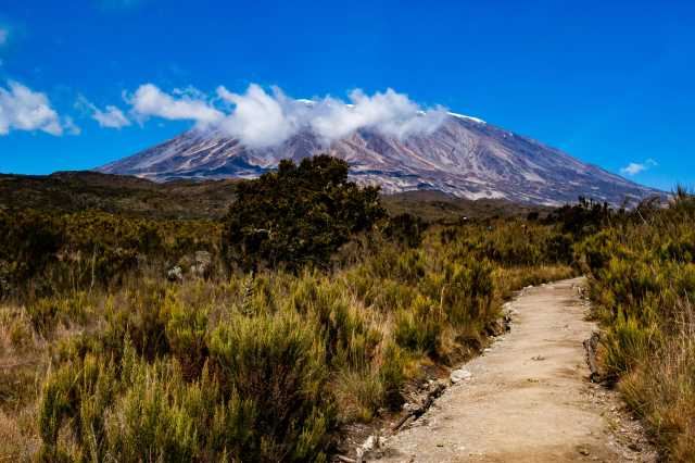 Escursione diurna di 8 giorni sul Kilimanjaro & circuito safari