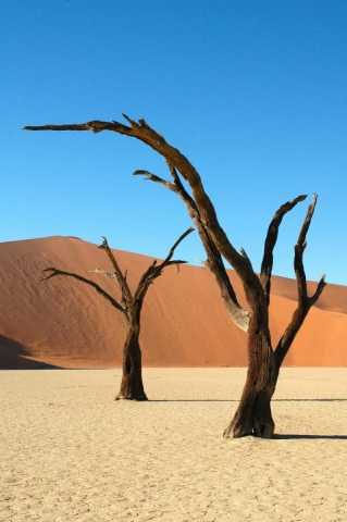 No coração dos tesouros da África Austral