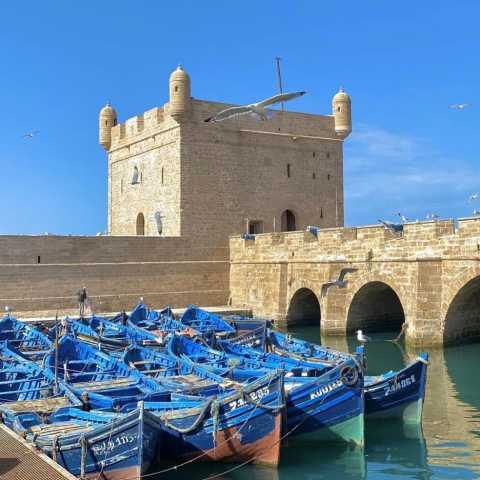 Southern Morocco: desert, oases and Essaouira in 10 days