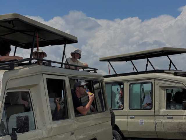 Excursion d’une journée au cratère du Ngorongoro - Safari privé depuis Arusha