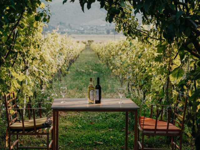 No coração do país das águias – uma viagem entre história e natureza