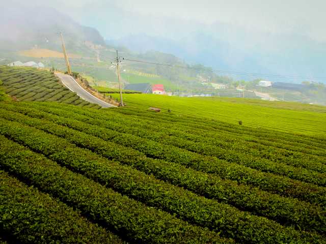 Descubra as Maravilhas de Taiwan: Paisagens Cênicas e Tesouros Culturais