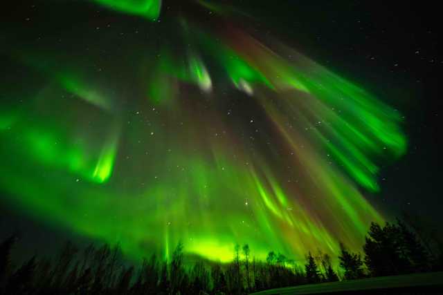 Postman's Arctische Toevluchtsoord
