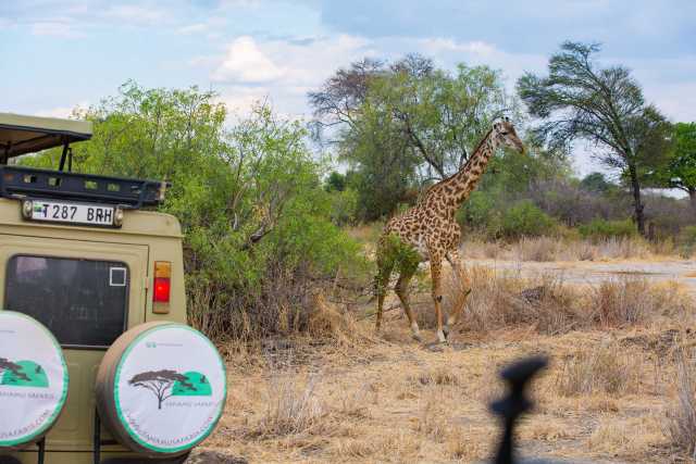 7 Days Serengeti, Ngorongoro, Tarangire and Manyara National Park