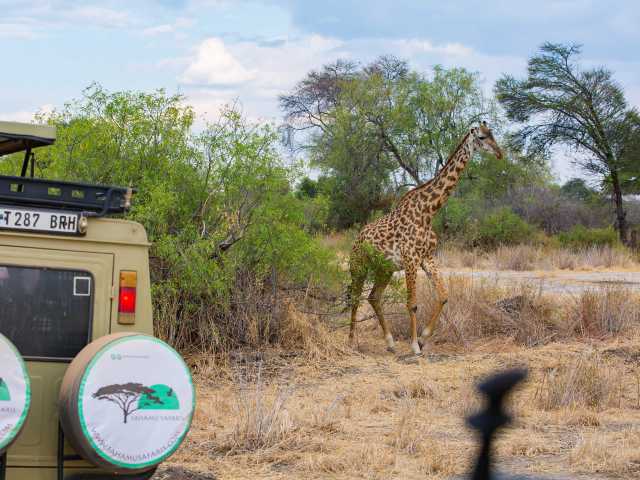 7 Jours Serengeti, Ngorongoro, Tarangire et Parc National de Manyara