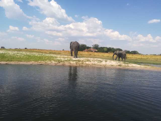 Victoria Falls & Botswana