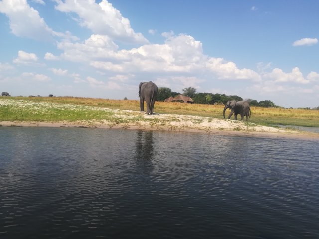 Cataratas Vitória & Botswana