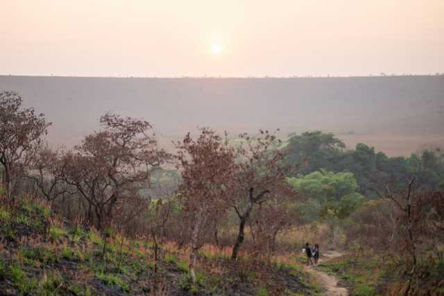 Exclusief verblijf in het hart van het nationaal park Odzala-Kokoua, juweel van Centraal-Afrika