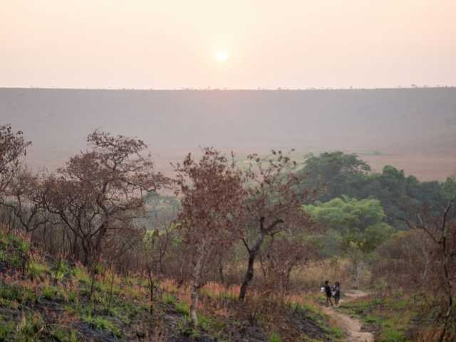 Séjour exclusif au cœur du parc national d’Odzala-Kokoua, joyau d’Afrique centrale