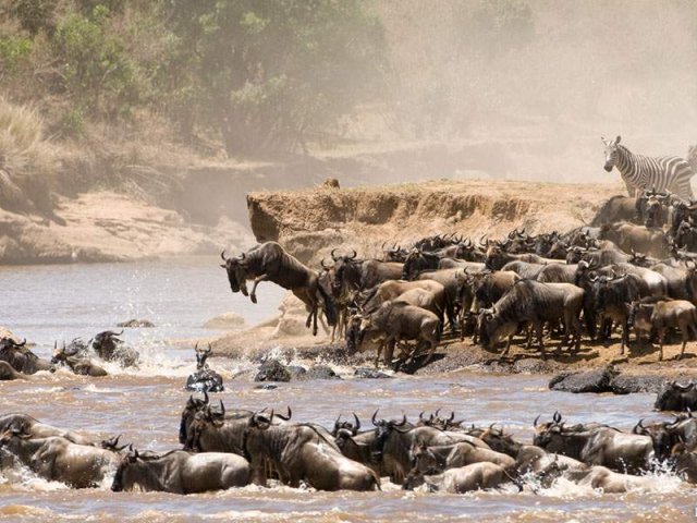 Safari de 14 jours en Tanzanie, culture et escapade à Zanzibar