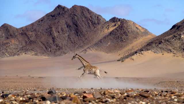 Die Flüsse Namibias