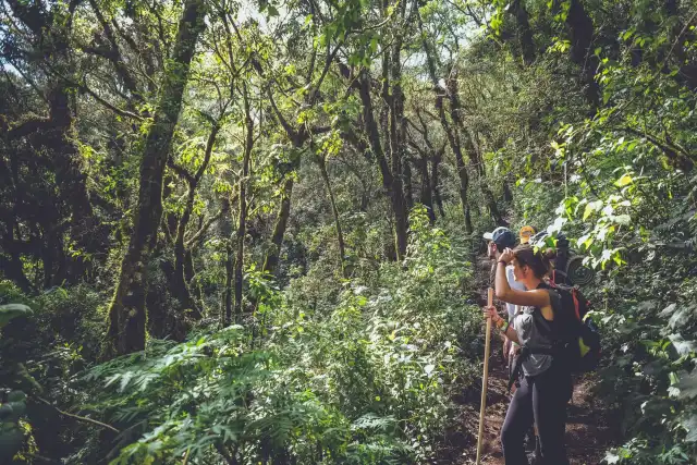 Guatemala a pie: Caminatas volcánicas y senderos ocultos