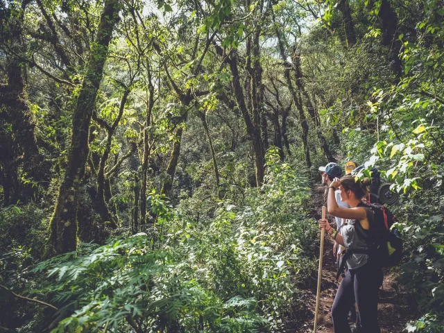Guatemala à pied : randonnées volcaniques et sentiers cachés