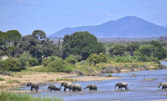 Explora los diversos paisajes y la vida silvestre de las joyas ocultas de Tanzania
