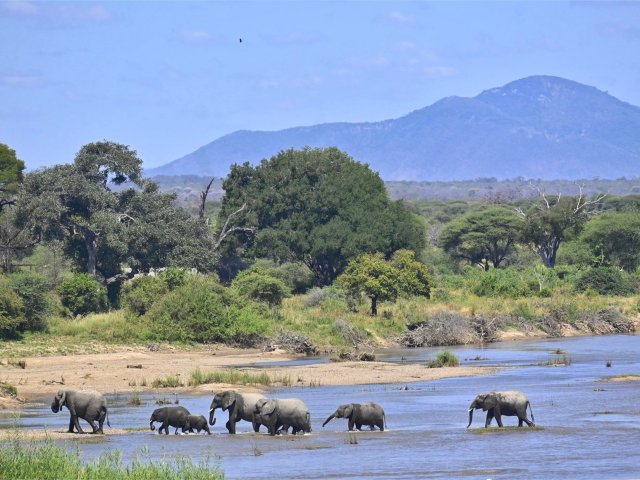 Explorez les paysages variés et la faune des trésors cachés de la Tanzanie