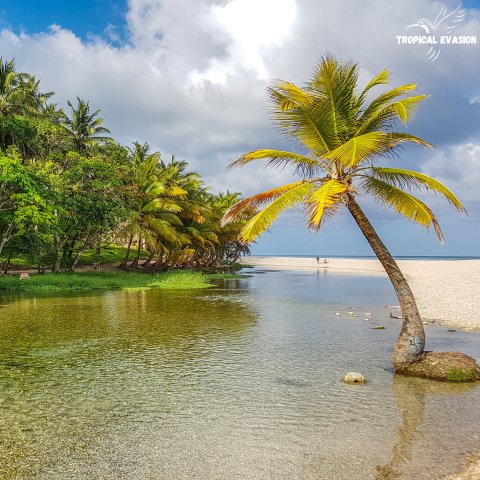 À descoberta do Sul Dominicano