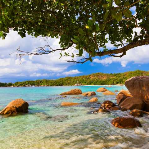 Fuga alle Seychelles: tra Mahé e Praslin