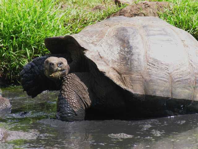 Scoperta dell'Ecuador