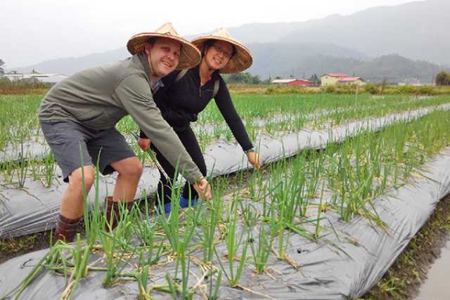 Descubra as Maravilhas de Taiwan: Paisagens Cênicas e Tesouros Culturais