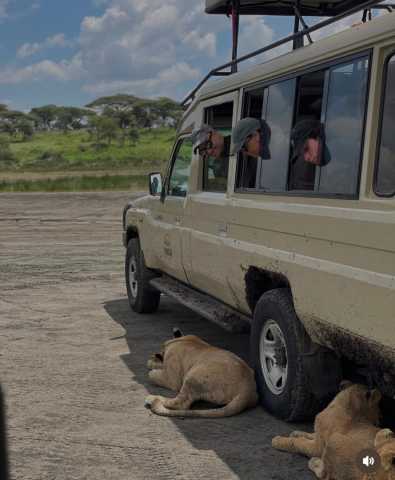 2-daagse Tanzania - Tarangire & Ngorongoro-krater