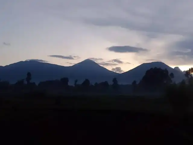 Rastreo exprés de gorilas de montaña de 2 días