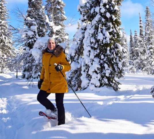 Korte kerst- of winteruitstap naar het noordelijkste Lapland