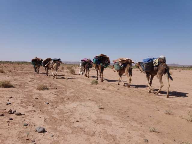 Trek et randonnée dans le désert – Vallée du Drâa – 5 jours