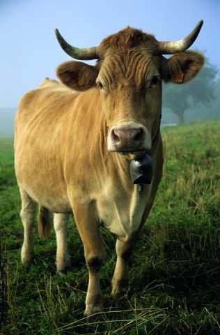The south of the Vercors, from the Trièves to Mont Aiguille.