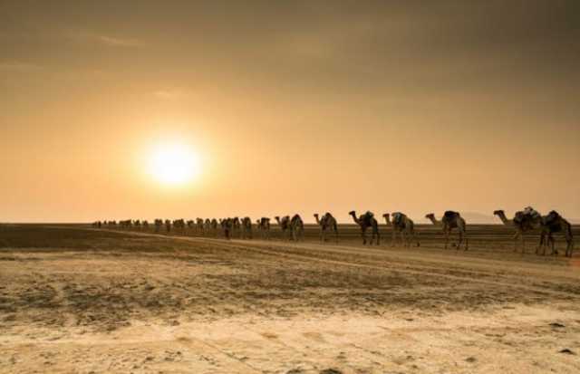 Danakildepressie Tour