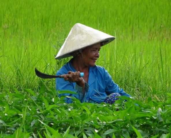 Cambodja met vrienden