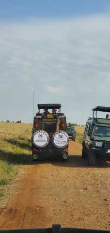 Ab Nairobi: Maasai Mara 3 Tage 2 Nächte Mittelklasse-Gruppensafari im 4WD