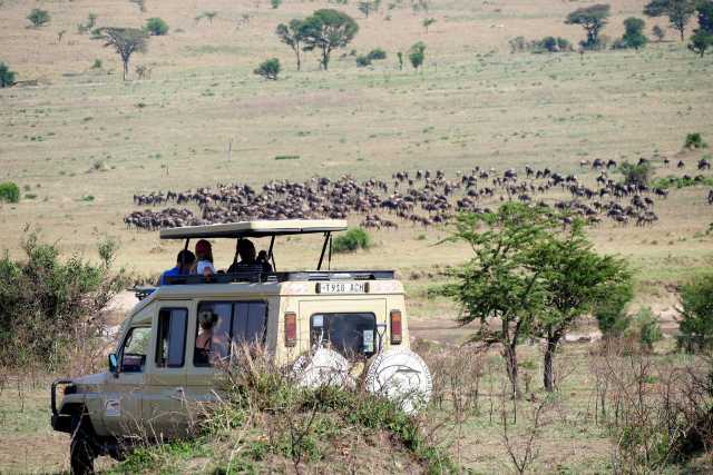 Safari de 7 jours de la Grande Migration : Tarangire, Serengeti & Ngorongoro