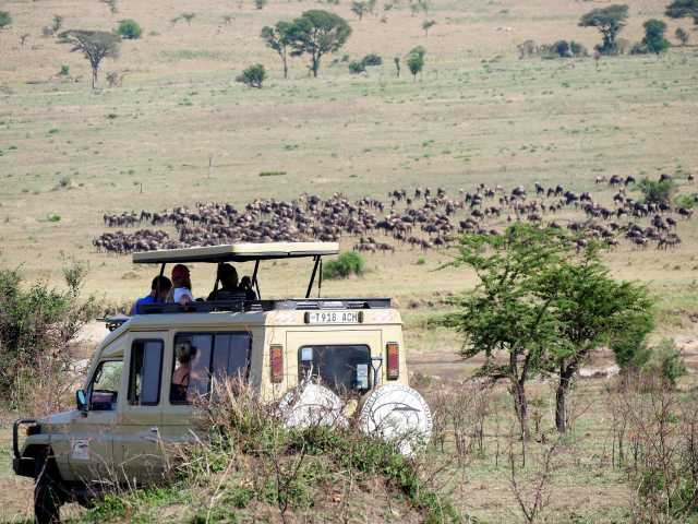 Safari de 7 jours de la Grande Migration : Tarangire, Serengeti & Ngorongoro